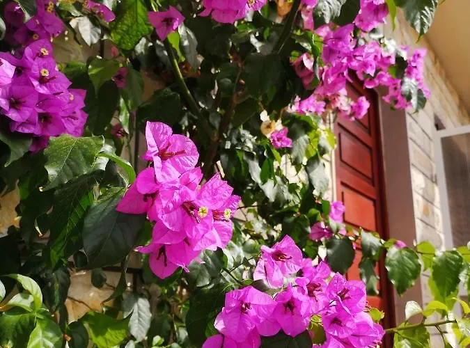 Sweet Triple In מאקרסקה